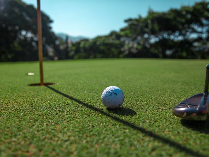 Best Time to Install Artificial Turf in Des Moines, Iowa, artificial turf in Des Moines, IA